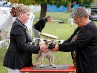 Ruahine Kennel Association