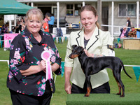 Terriers