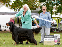 Gundogs