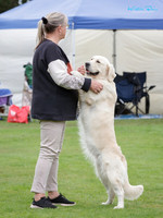 Whanganui Kennel Society