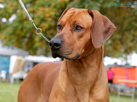 Hawkes Bay Kennel Association