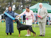 Best in Show