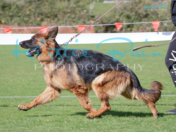 KBP22815