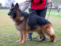 KB017561