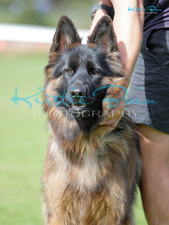KBP21756