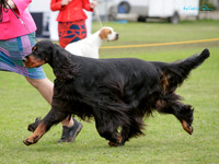 Whanganui & District Gundog Society