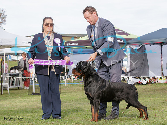 KBP26512