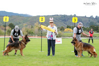 Stock Coat Best of Breed