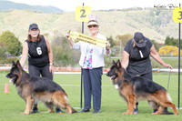 Long Stock Coat Best of Breed