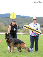Best in Show