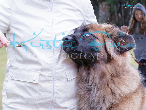 KBP20953