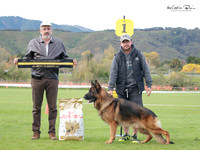 Best in Show