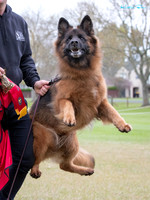 Long Stock Coat