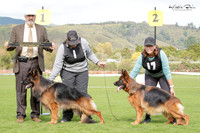 KBP21950