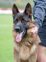 KBP22092