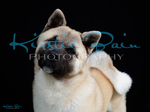 KBP20040