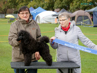 KBP20126