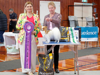 Best in Show - White Show