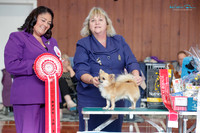 Best in Show - Red Show