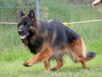 Long Stock Coat