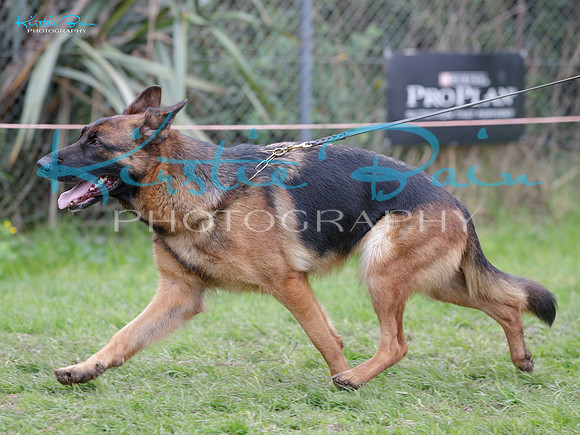 KBP24706