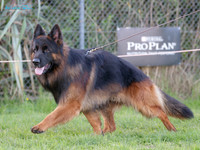 Long Stock Coat
