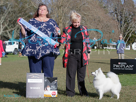 KBP27438
