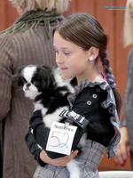 Horowhenua & Kapiti Toy Dog Club