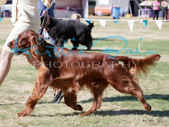 KBP17022