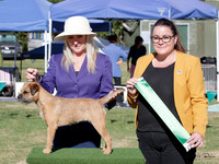 Best in Show