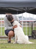 Wairoa Kennel Association