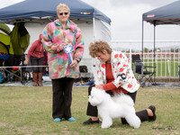 KBP19181