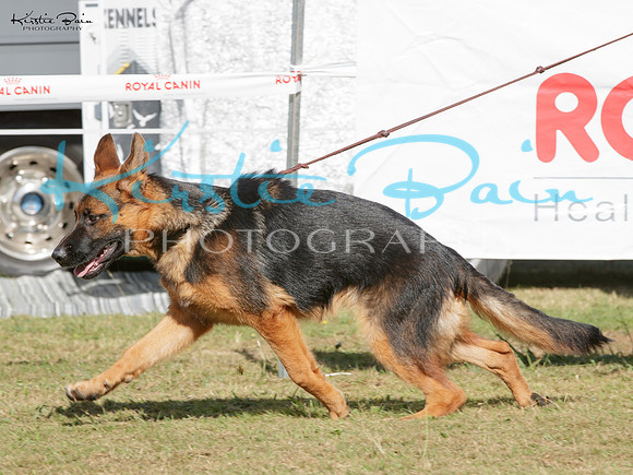 KBP12230