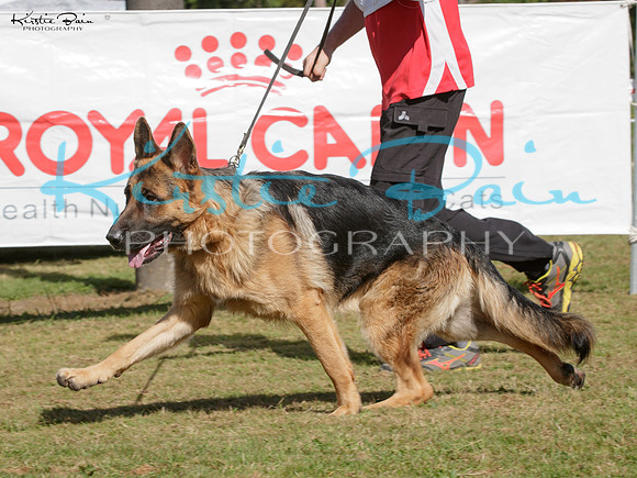 KBP12335