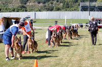 Stock Coat Dogs