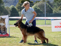 KBP12538