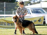 KBP12541