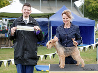 Terriers