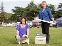 KBP16611