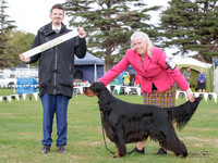 Gundogs