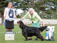 Best in Show