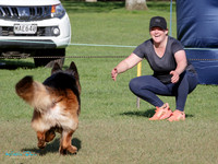 Best in Show Ringside