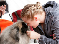 Wellington Toy Dog Club