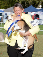 Cambridge Kennel Association