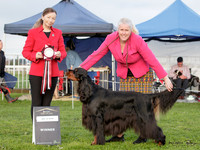 Best in Show