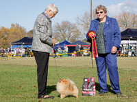 KBP18466