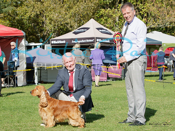 KBP19058