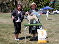 Best in Show