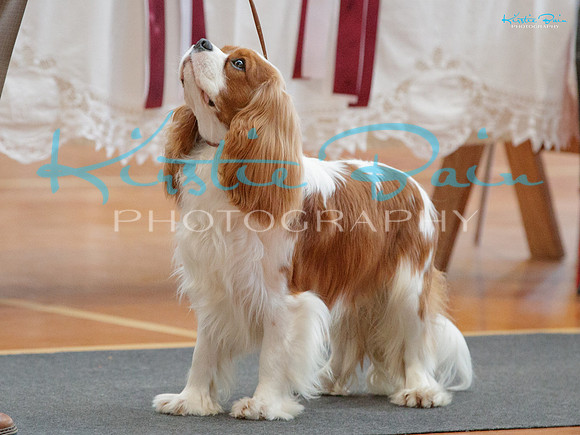 KBP26393