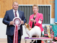 Best in Show Two